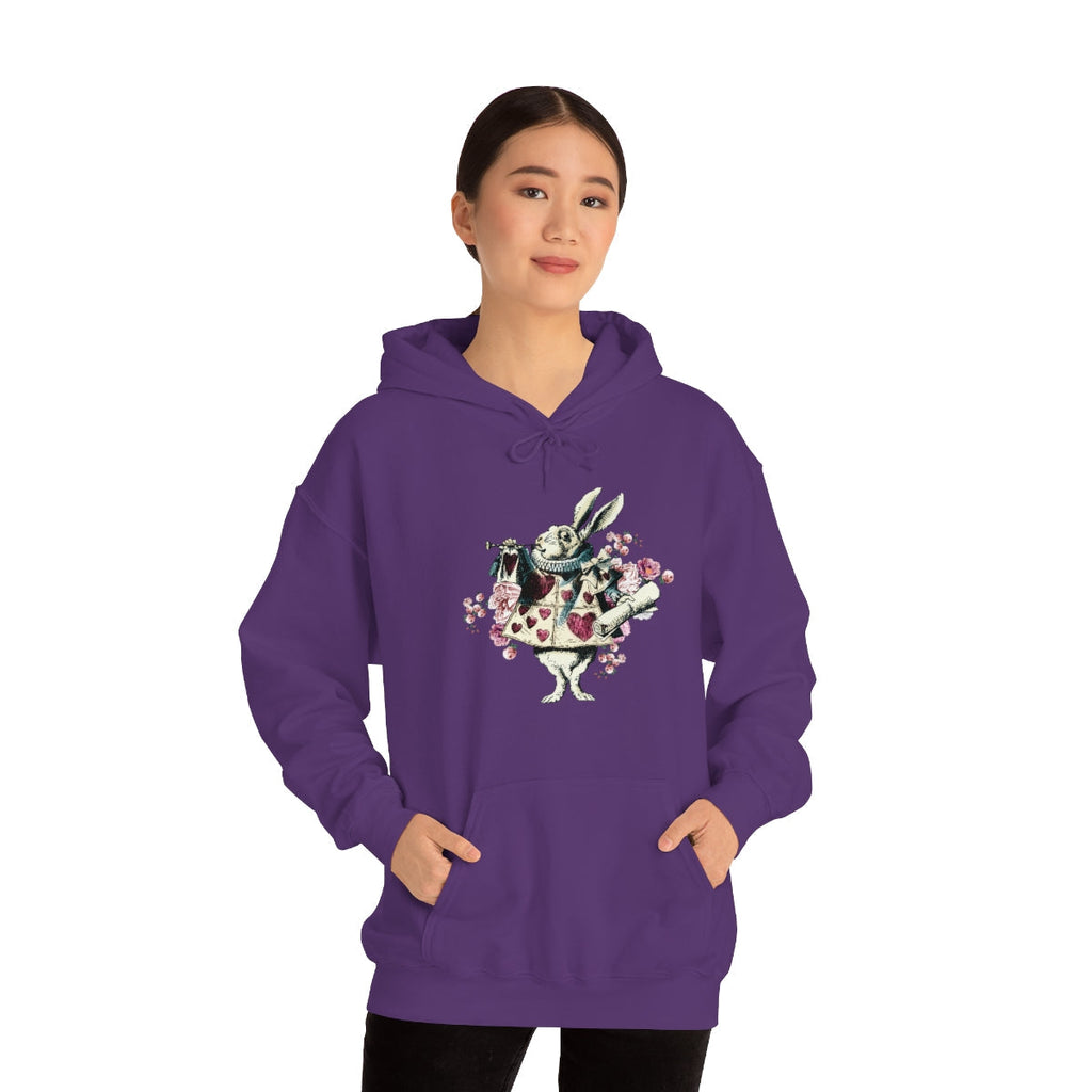 Pullover Hoodies-Alice in Wonderland Gifts 43 Colorful