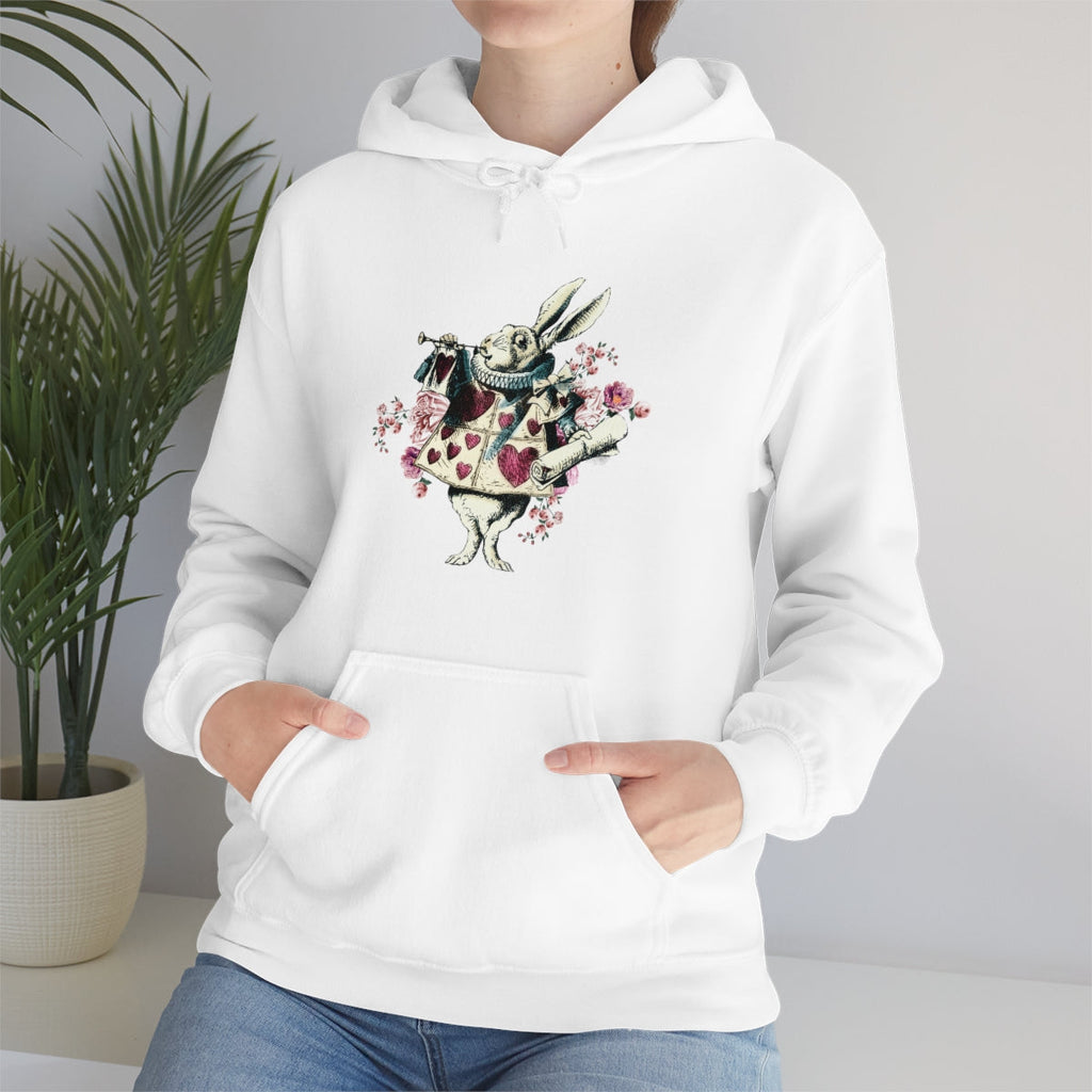 Pullover Hoodies-Alice in Wonderland Gifts 43 Colorful