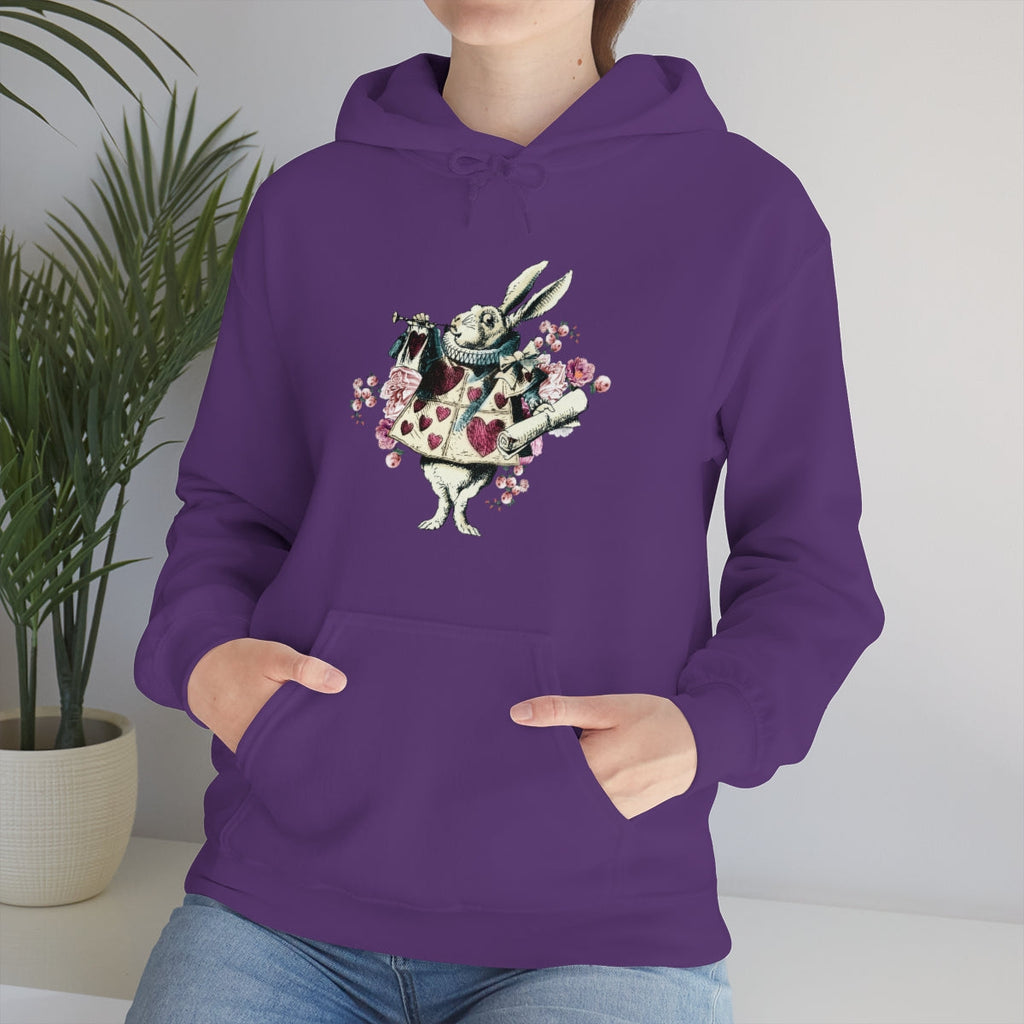 Pullover Hoodies-Alice in Wonderland Gifts 43 Colorful