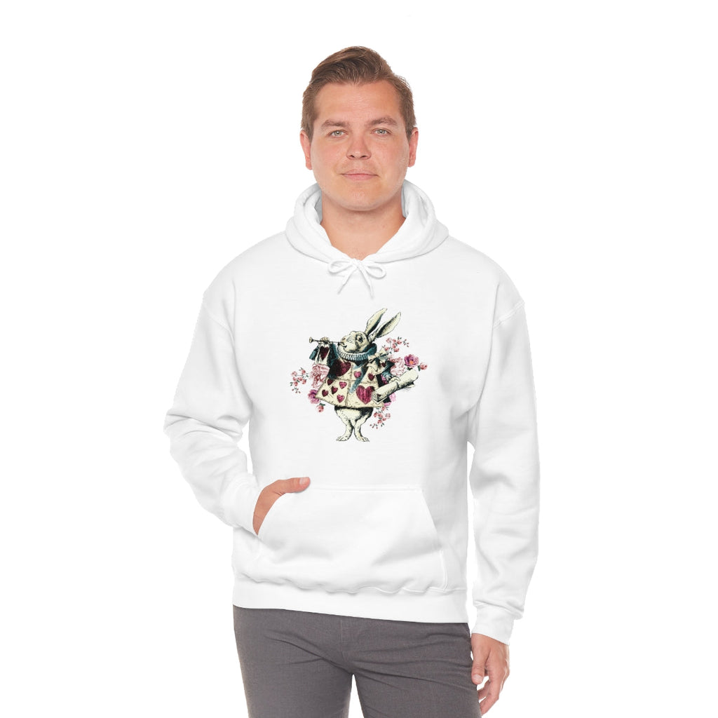 Pullover Hoodies-Alice in Wonderland Gifts 43 Colorful