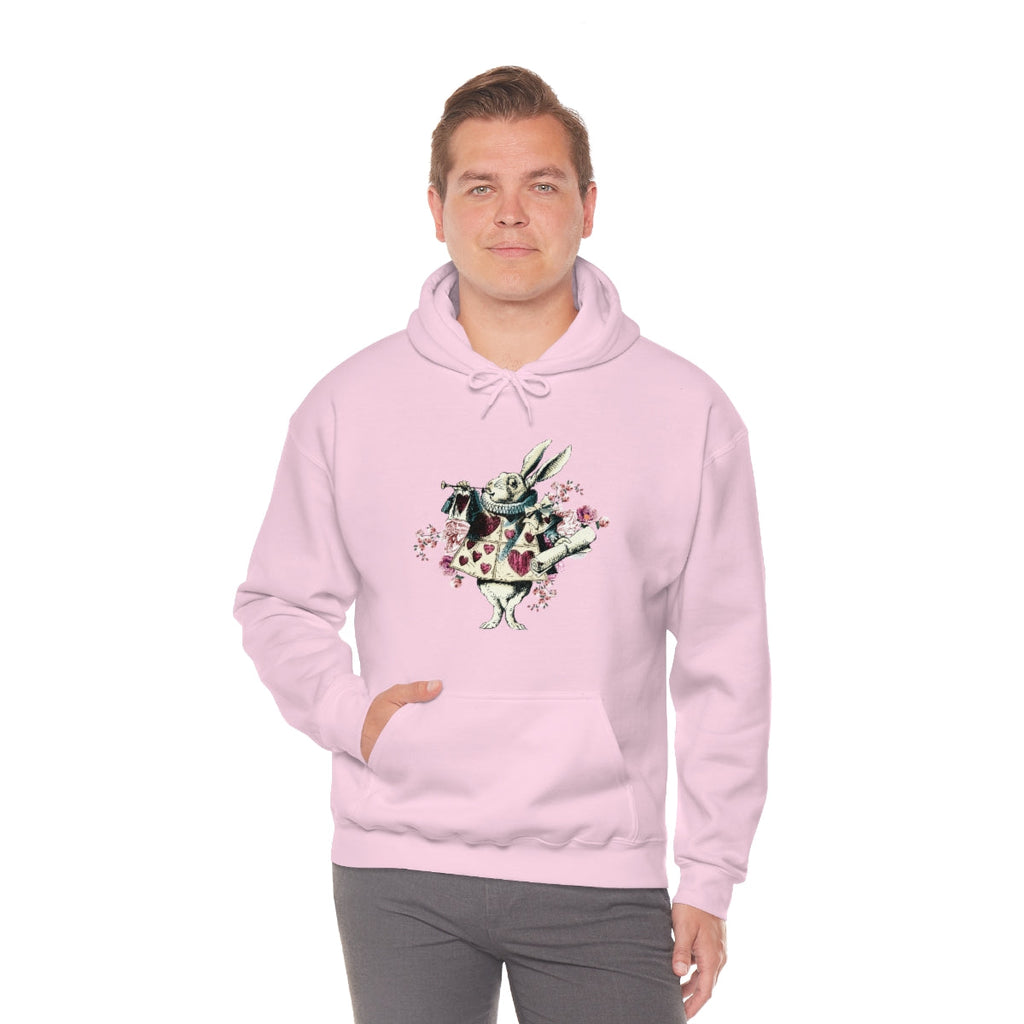 Pullover Hoodies-Alice in Wonderland Gifts 43 Colorful