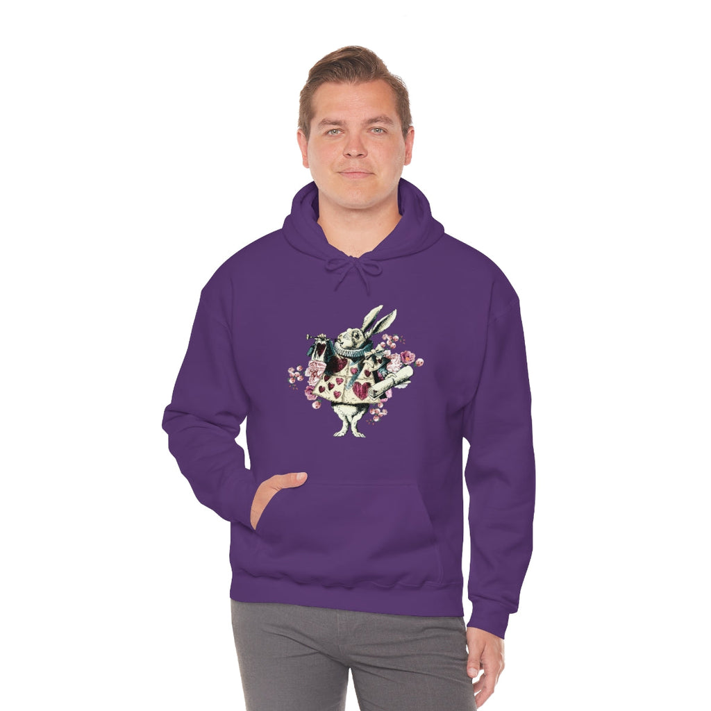 Pullover Hoodies-Alice in Wonderland Gifts 43 Colorful